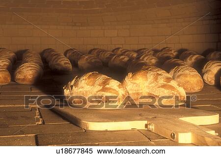 bread, bakery, brick oven, loaf, French bread, Loaves of freshly baked country bread are shown inside a hot brick oven at Gerard's Bakery in Westford in the state of Vermont. View Large Photo Image Stock Photography - bread, bakery, brick oven, loaf, French bread, Loaves of freshly baked country bread are shown inside a hot brick oven at Gerard's Bakery in Westford in the state of Vermont. . Fotosearch