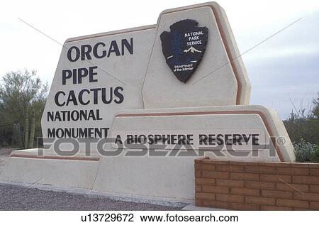 cactus, Arizona, AZ, Entrance sign to Organ Pipe Cactus National Monument in southwestern Arizona. View Large Photo Image Stock Image - cactus, Arizona, AZ, Entrance sign to Organ Pipe Cactus National Monument in southwestern Arizona.. Fotosearch