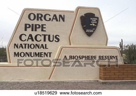 Stock Photo -  cactus, Arizona, AZ, Entrance sign to Organ Pipe Cactus National Monument in southwestern Arizona.. Fotosearch
