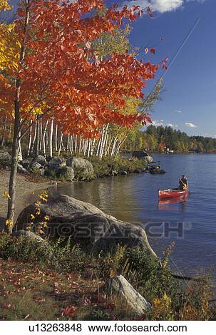 canoeing, autumn, canoe, VT, Vermont, Woman paddling a red canoe along Boulder Beach on Lake Groton in Groton State Forest in the fall. View Large Photo Image Stock Photo - canoeing, autumn, canoe, VT, Vermont, Woman paddling a red canoe along Boulder Beach on Lake Groton in Groton State Forest in the fall.. Fotosearch