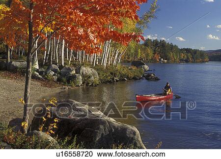 Stock Image -  canoeing, canoe, Vermont, VT, Woman paddles a red canoe along Boulder Beach on Lake Groton in Groton State Forest in the fall. . Fotosearch