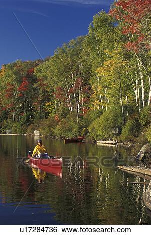 canoeing, reflection, canoe, Vermont, VT, Woman paddles a red canoe on the calm waters of Kettle Pond in Groton State Forest surrounded by birch trees and colorful maple trees in the fall. View Large Photo Image Stock Photograph - canoeing, reflection, canoe, Vermont, VT, Woman paddles a red canoe on the calm waters of Kettle Pond in Groton State Forest surrounded by birch trees and colorful maple trees in the fall. . Fotosearch