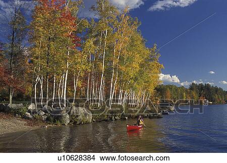 canoeing, Vermont, VT, Woman paddles a red canoe along Boulder Beach on Lake Groton in Groton State Forest in the fall. View Large Photo Image Picture - canoeing, Vermont, VT, Woman paddles a red canoe along Boulder Beach on Lake Groton in Groton State Forest in the fall. . Fotosearch