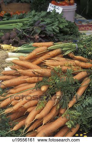 Stock Image -  carrots, vegetables, outdoor market, produce, Vermont, VT, Carrots for sale at the Farmers Market in Waterbury. . Fotosearch