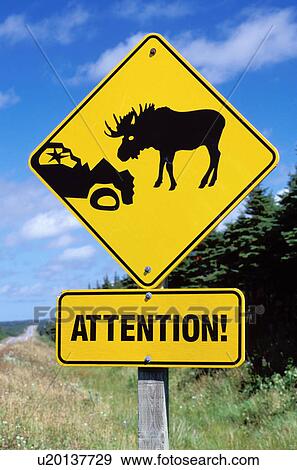 Stock Photo -  caution sign, moose, Newfoundland, NF, Canada, Attention Moose, sign, road sign. Fotosearch