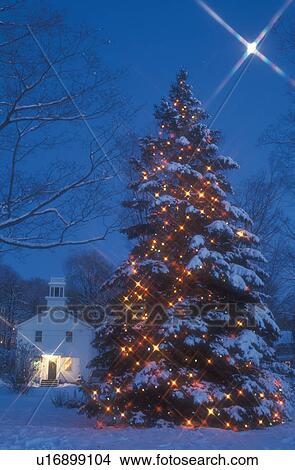 Christmas tree, tree, moon, outdoor, decoration, starlight, holiday, snow, winter, Vermont, USA, A large snow covered evergreen tree is sprinkled with tiny colorful starlights outside the library in Jericho Center under the full moon at night in Chittend View Large Photo Image Picture - Christmas tree, tree, moon, outdoor, decoration, starlight, holiday, snow, winter, Vermont, USA, A large snow covered evergreen tree is sprinkled with tiny colorful starlights outside the library in Jericho Center under the full moon at night in Chittend. Fotosearch