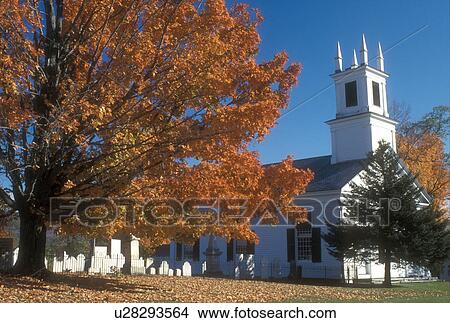 Picture -  church, fall, Shaftsbury, VT, Vermont, Colorful maple tree next to the Historical Society Museum (Baptist Church) in autumn in Shaftsbury.. Fotosearch