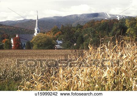 Stock Image -  church, fall, Waitsfield, VT, Mad River Valley, Vermont, Scenic view of the United Church of Christ surrounded by colorful fall foliage from a cornfield with the first snow on the Green Mountains and the slopes of Sugarbush Ski Resort in the background i. Fotosearch