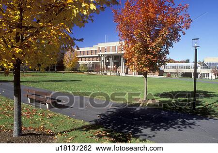 Stock Image -  college, Amherst, MA, Massachusetts, Harold Solomon Library Center on Hampshire College campus in Amherst in the autumn.. Fotosearch
