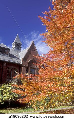 Stock Image -  college, Northampton, Massachusetts, MA, Colorful fall foliage on the campus of Smith College in Northampton in the autumn.. Fotosearch