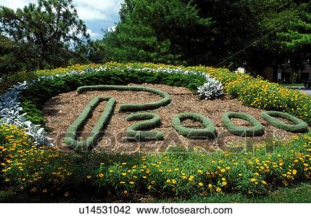 college, Purdue University, West Lafayette, IN, Indiana, Floral garden decoration on the campus of Purdue University. View Large Photo Image Stock Image - college, Purdue University, West Lafayette, IN, Indiana, Floral garden decoration on the campus of Purdue University.. Fotosearch