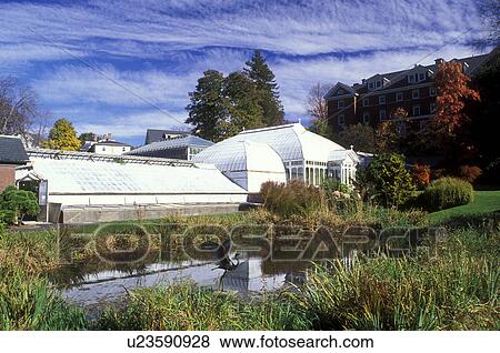conservatory, college, Northampton, Massachusetts, MA, Lyman Plant House at the Lyman Conservatory at Smith College in Northampton in the autumn. View Large Photo Image Stock Photo - conservatory, college, Northampton, Massachusetts, MA, Lyman Plant House at the Lyman Conservatory at Smith College in Northampton in the autumn.. Fotosearch