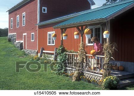country market, pumkins, harvest, autumn, A woman standing on a porch picking out a pumpkin at a farm market in Cambridge in Lamoille County in the state of Vermont. View Large Photo Image Stock Photography - country market, pumkins, harvest, autumn, A woman standing on a porch picking out a pumpkin at a farm market in Cambridge in Lamoille County in the state of Vermont.. Fotosearch