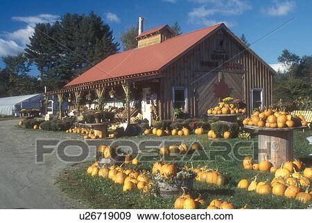 country market, pumpkin, harvest, autumn, Mad River, Pumpkins for sale outside the Hartshorn Farm Stand in Waitsfield in Washington County in the state of Vermont. View Large Photo Image Stock Photo - country market, pumpkin, harvest, autumn, Mad River, Pumpkins for sale outside the Hartshorn Farm Stand in Waitsfield in Washington County in the state of Vermont.. Fotosearch