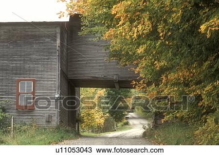 Stock Image -  country road, barn, fall, Woodbury, VT, Vermont, A country road meanders under the high-rise of a barn in Woodbury in the autumn.. Fotosearch