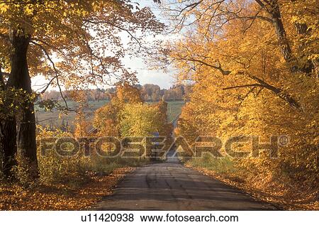 Stock Photo -  country road, fall, East Montpelier, VT, Vermont, Country road surrounded by colorful foliage in East Montpelier in the autumn.. Fotosearch