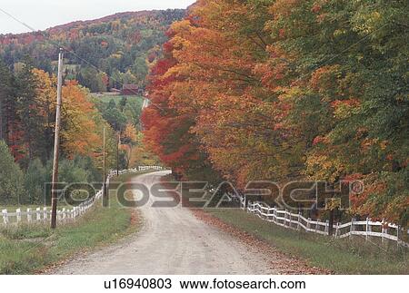 peak time for change in leaves in northeast ohio peak time for change in leaves in northeast ohio