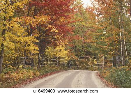 country road, fall, Newark, VT, Vermont, Colorful fall foliage along Newark Pond Road in the autumn. View Large Photo Image Stock Image - country road, fall, Newark, VT, Vermont, Colorful fall foliage along Newark Pond Road in the autumn. . Fotosearch