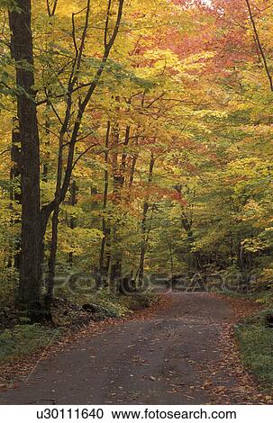 Stock Image -  country road, fall, VT, Vermont, Colorful fall foliage along Long Pond Road in the autumn in Westmore. . Fotosearch