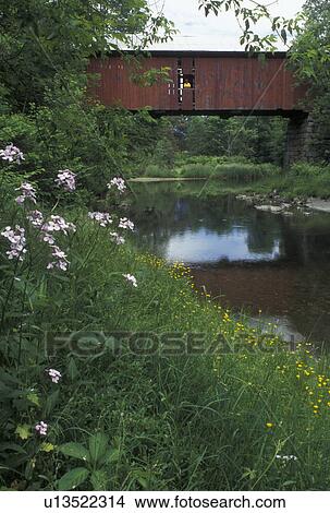 covered bridge, river, spring, Northfield Falls, VT, Vermont, Woman stands in window of Slaughter House Covered Bridge which crosses over Dog River in the spring in Northfield Falls. View Large Photo Image Picture - covered bridge, river, spring, Northfield Falls, VT, Vermont, Woman stands in window of Slaughter House Covered Bridge which crosses over Dog River in the spring in Northfield Falls.. Fotosearch