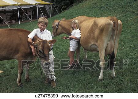 Stock Photo -  cows, Vermont, VT, Children getting ready to show their prize cows at The Tunbridge World's Fair in Tunbridge.. Fotosearch