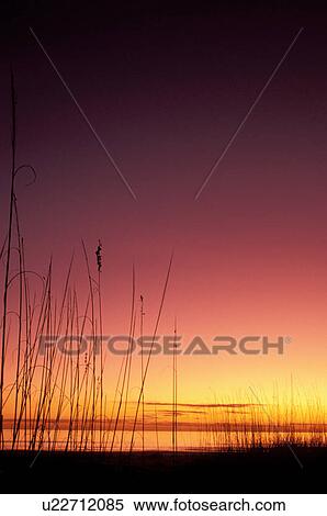 Cumberland Island, GA, Georgia, Sunrise over the Atlantic Ocean from Cumberland Island National Seashore. View Large Photo Image Stock Photography - Cumberland Island, GA, Georgia, Sunrise over the Atlantic Ocean from Cumberland Island National Seashore.. Fotosearch