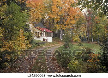 Stock Photo -  fall, cabin, Westmore, VT, Vermont, Driveway leads to cottages surrounded by colorful fall foliage on Bald Hill Pond in the autumn. . Fotosearch