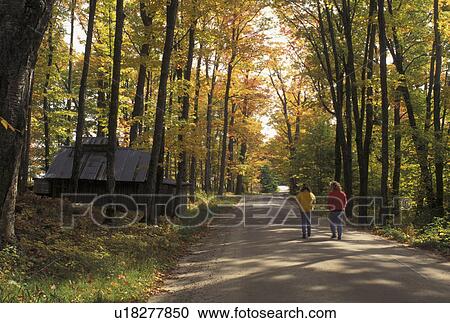 fall, country road, Burke, VT, Vermont, Mother and daughter walking next to a sugarhouse down a country road in the autumn. View Large Photo Image Stock Image - fall, country road, Burke, VT, Vermont, Mother and daughter walking next to a sugarhouse down a country road in the autumn. . Fotosearch