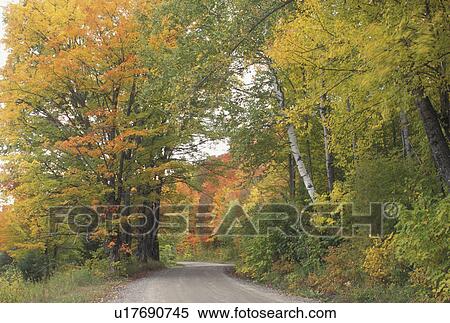 fall, country road, foliage, Sheffield, VT, Vermont, Colorful fall foliage along a country road in the autumn. View Large Photo Image Stock Photography - fall, country road, foliage, Sheffield, VT, Vermont, Colorful fall foliage along a country road in the autumn. . Fotosearch