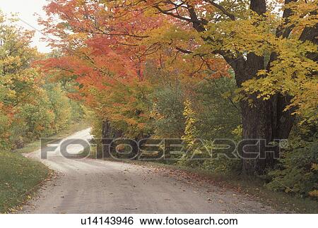 Stock Photograph -  fall, country road, foliage, Sutton, VT, Vermont, Colorful fall foliage along King George Road in the autumn. . Fotosearch