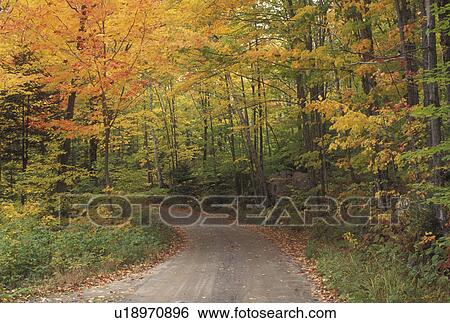 Stock Photograph -  fall, country road, Westmore, VT, Vermont, Colorful fall foliage along Long Pond Road in the autumn. . Fotosearch