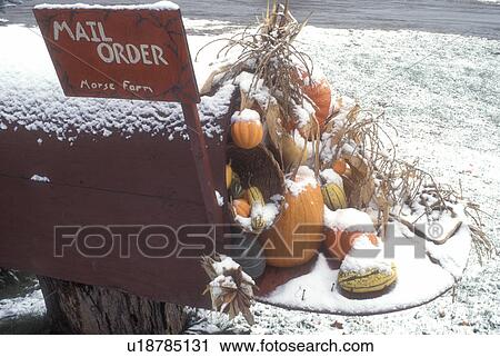 Stock Image -  fall decoration, first snow, mailbox, mail order sign, display, The first dusting of snow on a large mailbox fall display decorated with gourds, pumpkins, and indian corn in late autumn at Morse Farm Country Market in East Montpelier in Washington County. Fotosearch