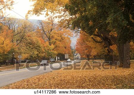 fall, Manchester Village, VT, Vermont, Colorful maple trees along the Historic District in Manchester Village in autumn. View Large Photo Image Stock Photograph - fall, Manchester Village, VT, Vermont, Colorful maple trees along the Historic District in Manchester Village in autumn.. Fotosearch