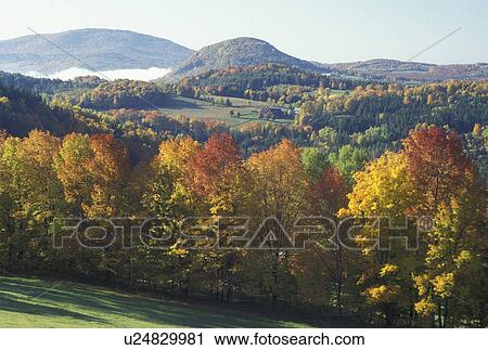 fall, Peacham, VT, Vermont, Scenic view of the countryside in the fog in the autumn. View Large Photo Image Stock Image - fall, Peacham, VT, Vermont, Scenic view of the countryside in the fog in the autumn. . Fotosearch