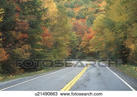 Stock Image -  fall, road, Roxbury, VT, Vermont, Route 12A surrounded by colorful foliage in autumn in Roxbury.. Fotosearch