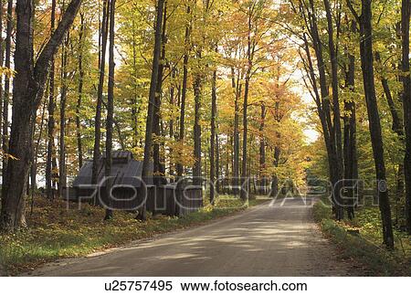 Stock Photography -  fall, sugar shack, Burke, VT, Vermont, Sugarhouse along a country road in the autumn. . Fotosearch