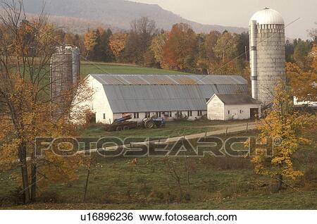 Stock Photograph -  farm, fall, Danby Four Corners, VT, Vermont, White barn along a country road in autumn in Danby Four Corners.. Fotosearch