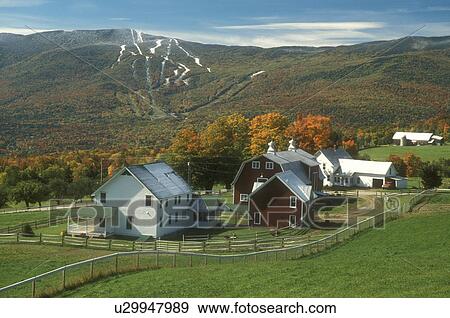 farm, fall, Fayston, VT, Vermont, Scenic view of the Green Mountains and Sugarbush Ski Resort at Mt. Ellen after the first snow from a farm in the Mad River Valley in autumn. View Large Photo Image Stock Photo - farm, fall, Fayston, VT, Vermont, Scenic view of the Green Mountains and Sugarbush Ski Resort at Mt. Ellen after the first snow from a farm in the Mad River Valley in autumn.. Fotosearch