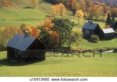 Stock Image -  farm, fall, South Pomfret, VT, Vermont, Scenic view of Sleepy Hollow Farm in autumn.. Fotosearch