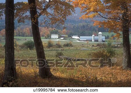 farm, fall, Tinmouth, VT, Vermont, Scenic view of a farm in autumn in Tinmouth. View Large Photo Image Picture - farm, fall, Tinmouth, VT, Vermont, Scenic view of a farm in autumn in Tinmouth.. Fotosearch