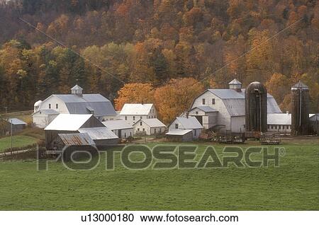farm, fall, Tunbridge, VT, Vermont, Howe Farm surrounded by colorful fall foliage in autumn. View Large Photo Image Stock Image - farm, fall, Tunbridge, VT, Vermont, Howe Farm surrounded by colorful fall foliage in autumn. . Fotosearch