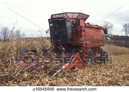 farm machinery, harvest, corn, farming, Harvesting corn on a farm in the fall in East Montpelier in Washington County in the state of Vermont. View Large Photo Image Stock Photograph - farm machinery, harvest, corn, farming, Harvesting corn on a farm in the fall in East Montpelier in Washington County in the state of Vermont. . Fotosearch