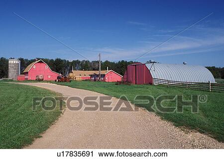 farm, SD, South Dakota, Day County, Coteau des Prairies, Country road leads up to red barn on a farm in Coteau des Prairies. View Large Photo Image Stock Image - farm, SD, South Dakota, Day County, Coteau des Prairies, Country road leads up to red barn on a farm in Coteau des Prairies.. Fotosearch