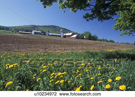 farm, spring, Barnet, VT, Vermont, Freshly plowed field in front of a red barn on a farm in Barnet in the spring. View Large Photo Image Stock Image - farm, spring, Barnet, VT, Vermont, Freshly plowed field in front of a red barn on a farm in Barnet in the spring.. Fotosearch
