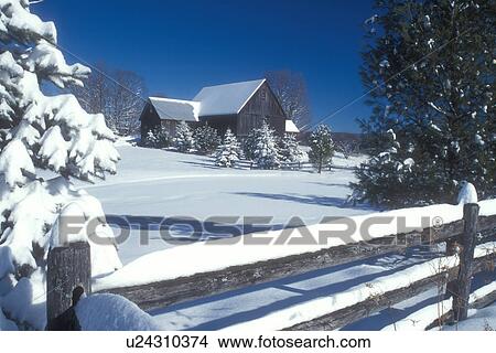 Picture -  farm, winter, frozen pond, Calais, Vermont, VT, Snow-covered evergreens along a split-rail fence on a farm on a sunny day in winter in Calais.. Fotosearch