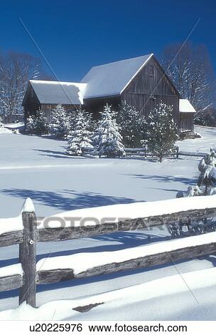 Stock Photograph -  farm, winter, frozen pond, Calais, Vermont, VT, Snow-covered evergreens along a split-rail fence on a farm on a sunny day in winter in Calais.. Fotosearch