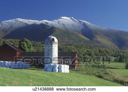 Stock Photo -  first snow, mountain, farm, Cambridge, VT, Vermont, farm, red barn, Pleasant Valley, fall, first snow, Mt. Mansfield.. Fotosearch