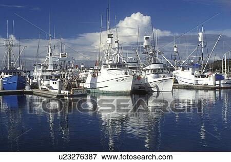 Stock Photo -  fishing boats, San Diego, California, CA, Tuna fishing boats docked at a marina on Tuna Harbor in San Diego.. Fotosearch