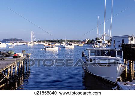 Stock Image -  fishing harbor, Maine, ME, Corea, Lobster boats in the harbor of the fishing village of Corea.. Fotosearch