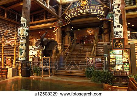 fishing, hunting, museum, sporting goods, interior, Springfield, MO, Missouri, Fish and Wildlife Museum at the Pro Bass Shops Outdoor World National Headquarters in Springfield. World's largest sporting goods store. View Large Photo Image Stock Photo -  fishing, hunting, museum, sporting goods, interior, Springfield, MO, Missouri, Fish and Wildlife Museum at the Pro Bass Shops Outdoor World National Headquarters in Springfield. World's largest sporting goods store.. Fotosearch